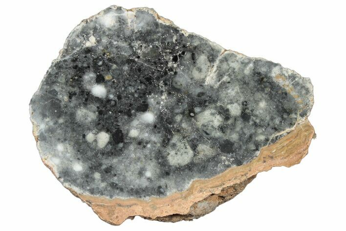 Polished Lunar Meteorite Section ( g) - NWA #304034
